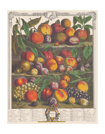 August 1732 by Robert Furber Pricing Limited Edition Print image