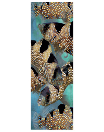 Clown Soapfish by Melinda Bradshaw Pricing Limited Edition Print image