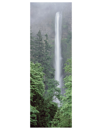 Oregon Multnomah 1 by Danny Burk Pricing Limited Edition Print image