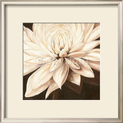 Dahlia Variabilis by Rian Withaar Pricing Limited Edition Print image
