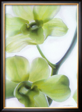 Orchid I by Annemarie Peter-Jaumann Pricing Limited Edition Print image