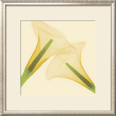 Delicate Ii by Val Andre Pricing Limited Edition Print image