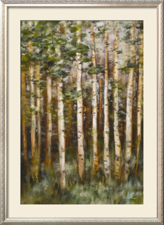 Aspen Beauty Iii by Scott Lee Pricing Limited Edition Print image