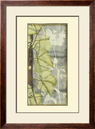 Leaf Medley Ii by Jennifer Goldberger Pricing Limited Edition Print image