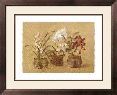 Collection Of Orchids by Cheri Blum Pricing Limited Edition Print image