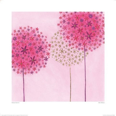 Pink Alliums by Richard Barrett Pricing Limited Edition Print image