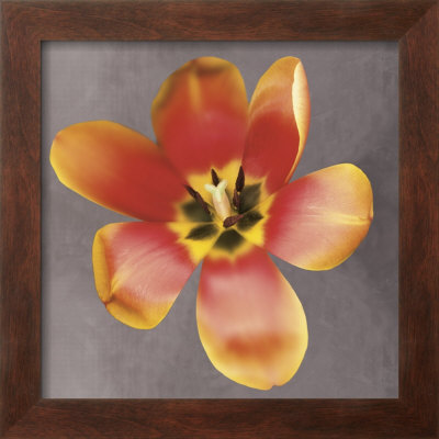 Sunshine Tulip by Erin Clark Pricing Limited Edition Print image