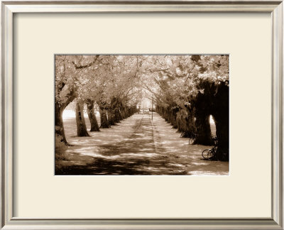 Near Midsummer Common, Cambridge by Derek Langley Pricing Limited Edition Print image