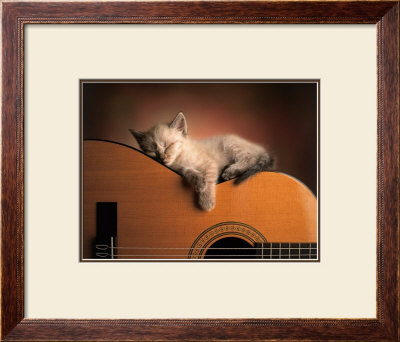 Sleeping Soundly by Xavier Chantrenne Pricing Limited Edition Print image