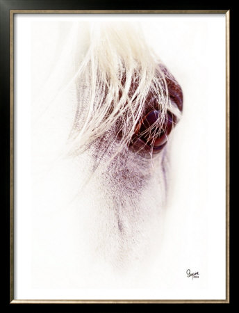 Window To The Soul by Suzanne Sturgill Pricing Limited Edition Print image