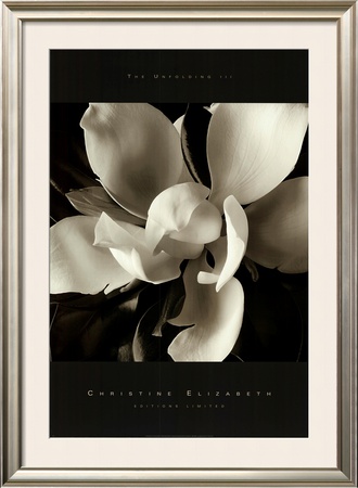 The Unfolding Iii by Christine Elizabeth Pricing Limited Edition Print image
