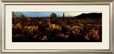 Sonora by Alain Thomas Pricing Limited Edition Print image