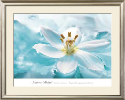 Botanica Azure Ii by Jeanne Michel Pricing Limited Edition Print image