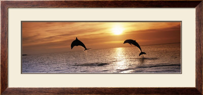 Sunset Dolphins by Stuart Westmoreland Pricing Limited Edition Print image