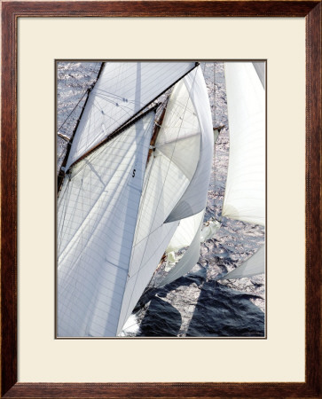 Amazing Sail by Guillaume Plisson Pricing Limited Edition Print image