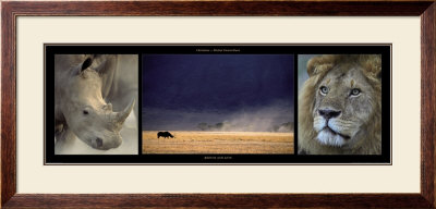Rhinos And Lion by Michel & Christine Denis-Huot Pricing Limited Edition Print image