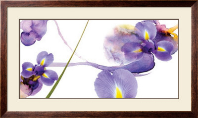 Lucid Iris Ii by S & R Rasheed Pricing Limited Edition Print image