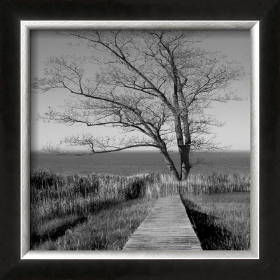 To The End by Mary Ruppert Pricing Limited Edition Print image