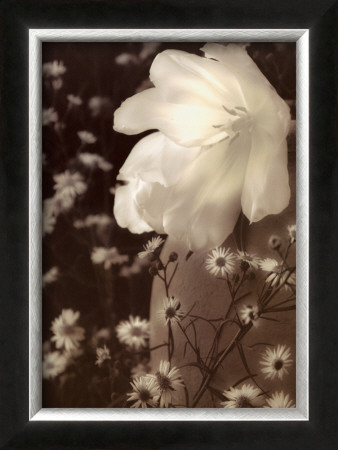 Glowing Tulip I by Donna Geissler Pricing Limited Edition Print image