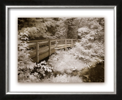 Upper Peninsula I by Monte Nagler Pricing Limited Edition Print image