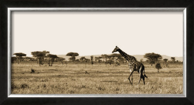 Serengeti Horizons Ii by Boyce Watt Pricing Limited Edition Print image