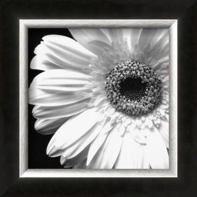 Sunburst I by Boyce Watt Pricing Limited Edition Print image