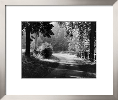 Path Into The Woods, Burgundy by Monte Nagler Pricing Limited Edition Print image