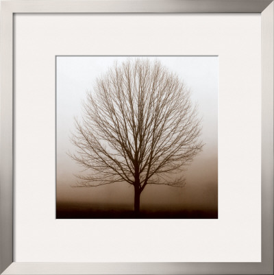 Stillness by Erin Clark Pricing Limited Edition Print image