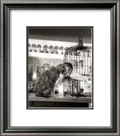 Child, Cat And Dove by Robert Doisneau Pricing Limited Edition Print image