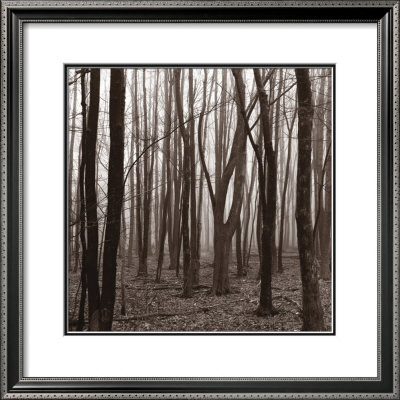 Gathering by Erin Clark Pricing Limited Edition Print image