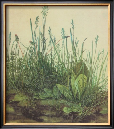 Large Turf by Albrecht Dürer Pricing Limited Edition Print image