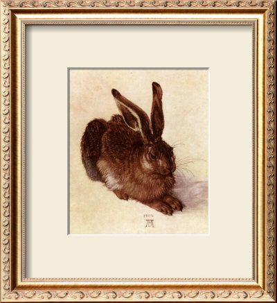Young Hare by Albrecht Dürer Pricing Limited Edition Print image