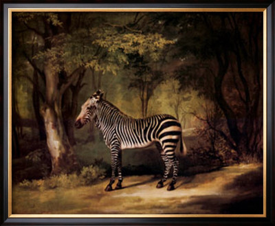 Zebra by George Stubbs Pricing Limited Edition Print image