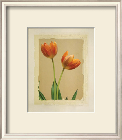 Tangerine Tulips I by Linda Maron Pricing Limited Edition Print image