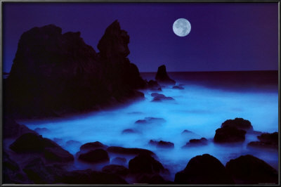 California Coast by William Hartshorn Pricing Limited Edition Print image