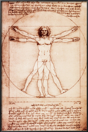 Vitruvian Man by Leonardo Da Vinci Pricing Limited Edition Print image