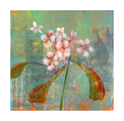 Orchid Study 1 by Maeve Harris Pricing Limited Edition Print image