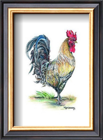 Southern Strut Iii by Kym Garraway Pricing Limited Edition Print image