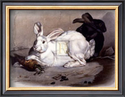 Black And White Rabbits by S. Teissier Pricing Limited Edition Print image
