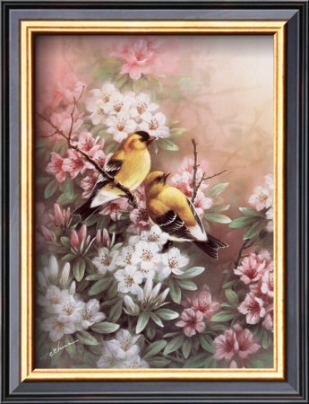 Yellow Finches by T. C. Chiu Pricing Limited Edition Print image