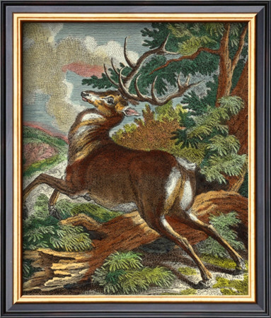 Deer In The Wild Ii by Johann Elias Ridinger Pricing Limited Edition Print image