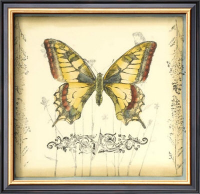 Butterfly And Wildflowers I by Jennifer Goldberger Pricing Limited Edition Print image