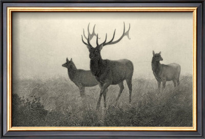 American Elk by R. Hinshelwood Pricing Limited Edition Print image