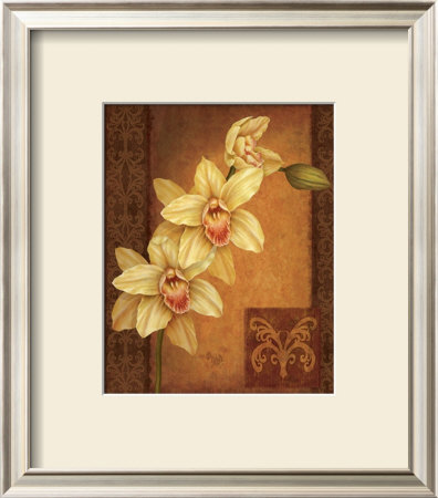 Cymbidium Orchid Ii by Debbie Cole Pricing Limited Edition Print image