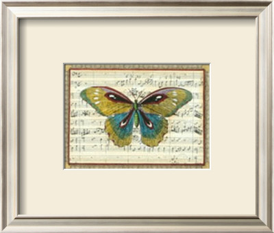 Butterfly Harmony I by Albertus Seba Pricing Limited Edition Print image