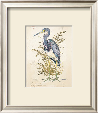Tricolor Heron (Detail) by Chad Barrett Pricing Limited Edition Print image