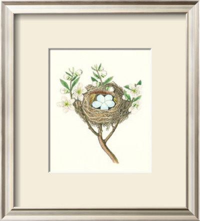 Gold Finch Nest by James Bolton Pricing Limited Edition Print image