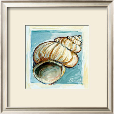 Shell  White Serie I by Cruz Pricing Limited Edition Print image