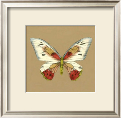Solitary Butterfly I by Jennifer Goldberger Pricing Limited Edition Print image