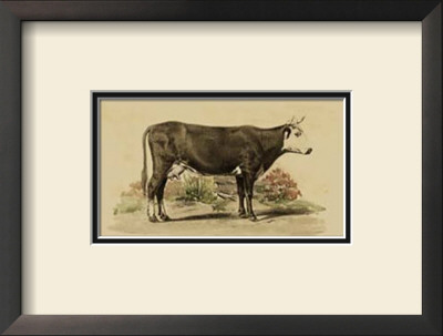 Antique Cow Iv by Julian Bien Pricing Limited Edition Print image